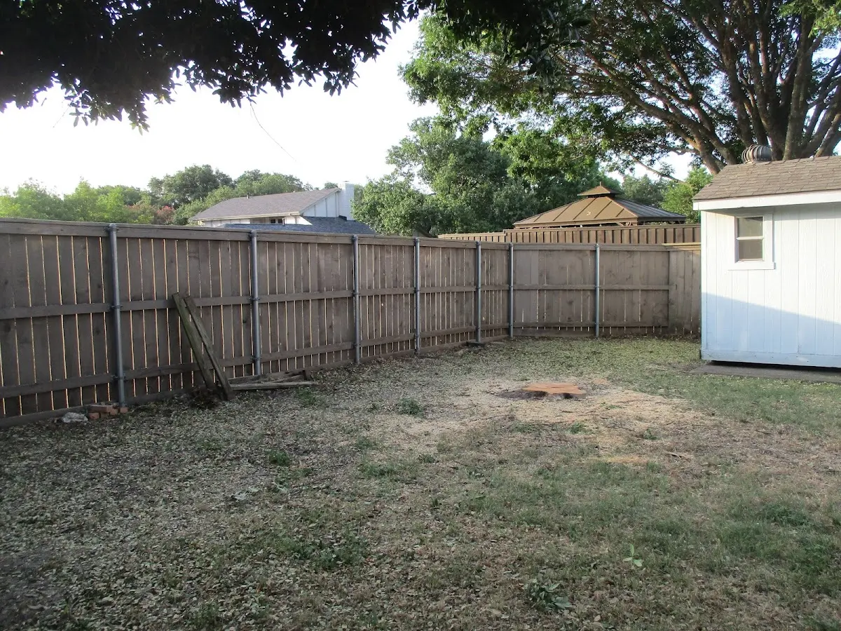 Cleared yard after professional tree removal in Highland Lakes